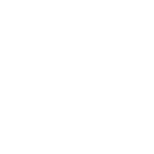 DLS 25 Logo